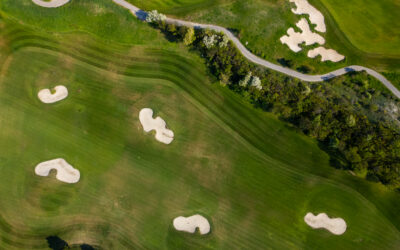Les zones d&rsquo;un terrain de golf : guide complet pour bien s&rsquo;y retrouver