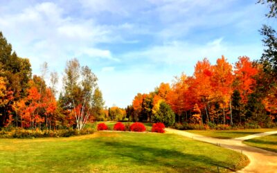 Golf sur la Rive-Nord : où jouer et quels parcours découvrir
